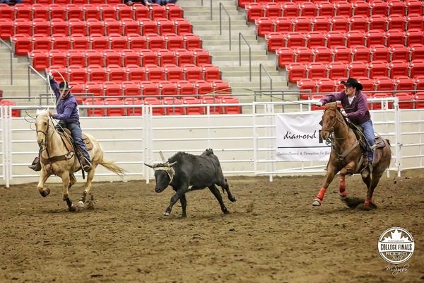 Rustlers welcome the future of rodeo
